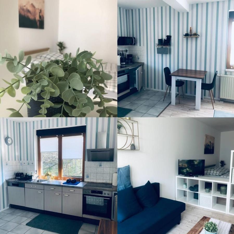 Ferienwohnung Shakira Penig Esterno foto
